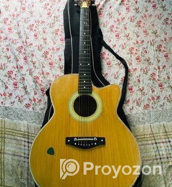 Deviser Guitar