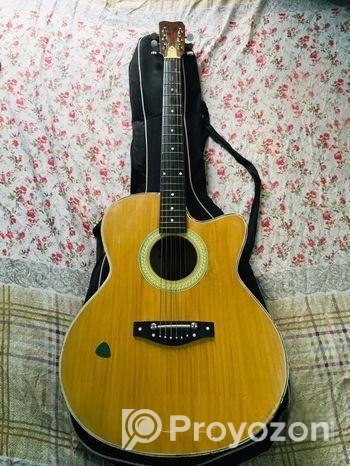 Deviser Guitar