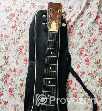 Deviser Guitar
