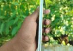 Samsung Galaxy A34 8/128 ( Lime Colour) (Used)