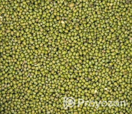 মুগর কালাই এর বীজ