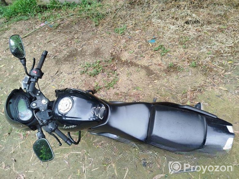 Bajaj Pulsar 150 . 2022