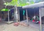 House for sell