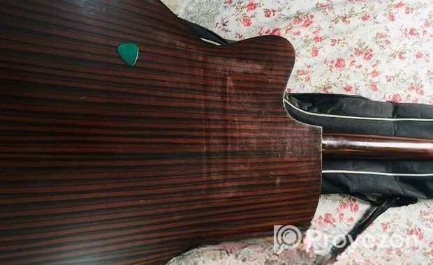 Deviser Guitar