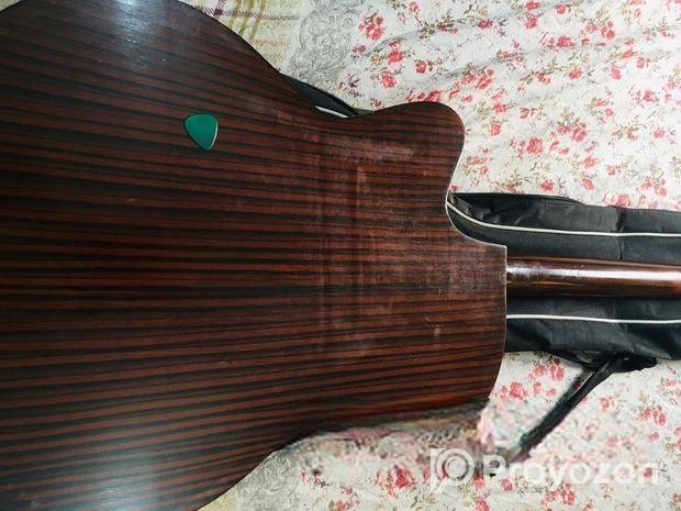 Deviser Guitar