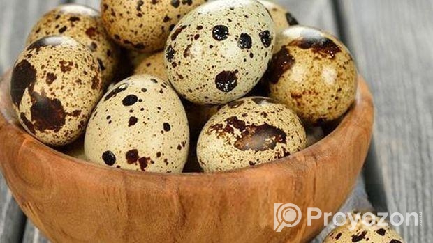 কোয়েল পাখির ডিম