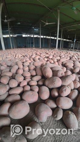 আলু বিক্রয় হবে