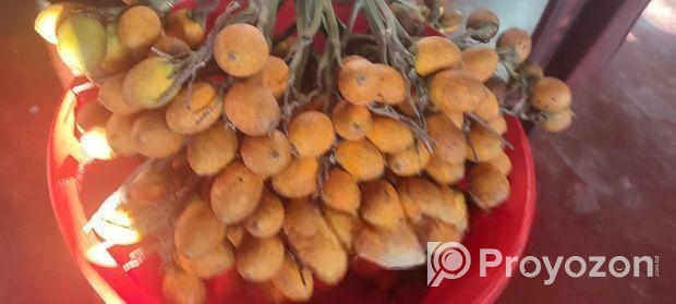 সুপারি বিক্রি
