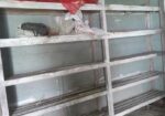 সেগুন কাঠের তৈরী র‍্যাক বিক্রি হবে