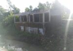 ১২ শতক জমি বিক্রিয় (মাধবপুর, মনতলা)