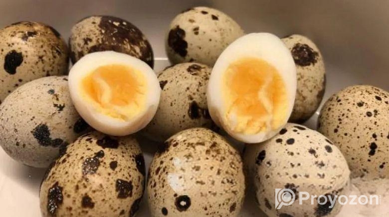 কোয়েল পাখির ডিম বিক্রয়