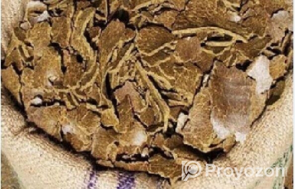সরিষার খৈল বিক্রয় করা হবে