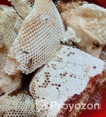 শ্রেষ্ঠ খাবার খাঁটি মধু (চাকসহ)