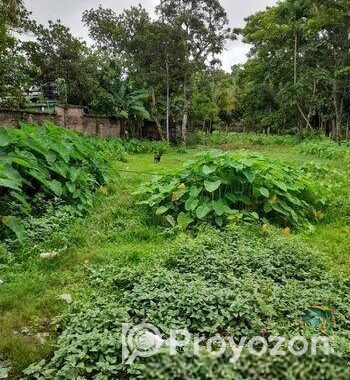 জমি বিক্রি করা হবে
