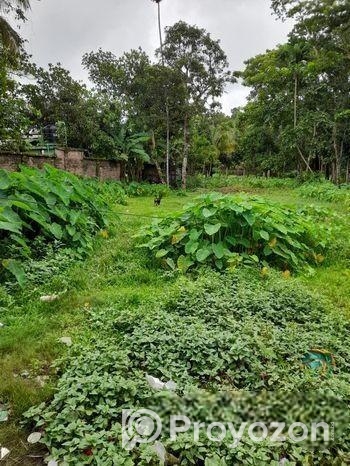 জমি বিক্রি করা হবে