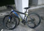 Phoenix Bicycle for sale
