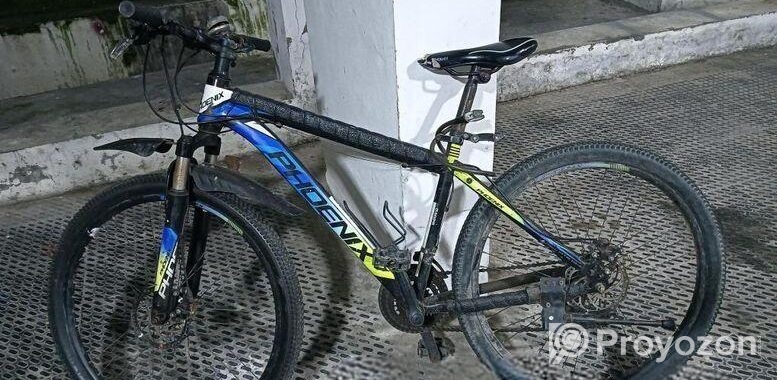 Phoenix Bicycle for sale