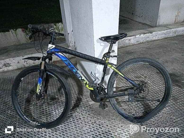 Phoenix Bicycle for sale