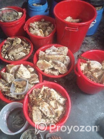 শ্রেষ্ঠ খাবার খাঁটি মধু (চাকসহ)