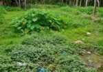 জমি বিক্রি করা হবে