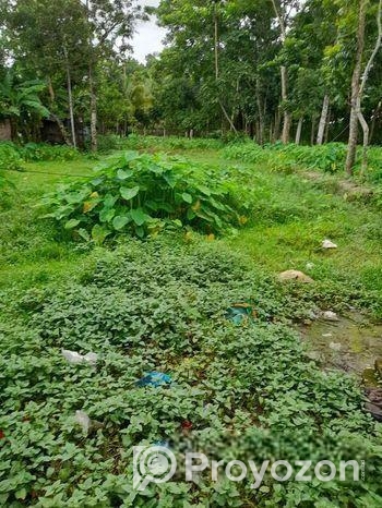 জমি বিক্রি করা হবে