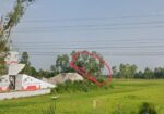 সাতমাতা থেকে কুড়িগ্রাম রোডে ডলফিন হ্যাচারির পাশে,