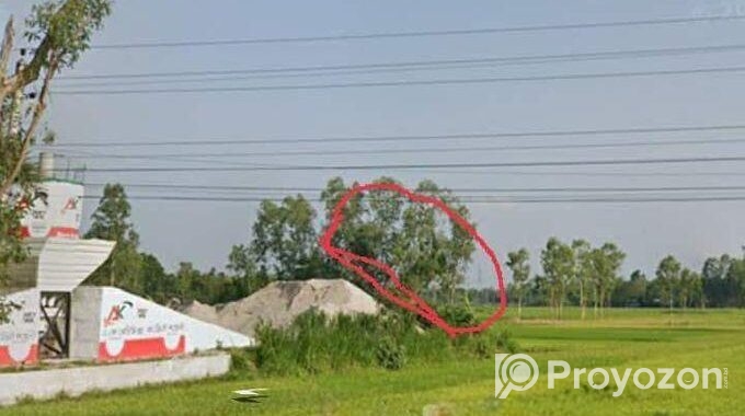 সাতমাতা থেকে কুড়িগ্রাম রোডে ডলফিন হ্যাচারির পাশে,