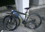 Phoenix Bicycle for sale
