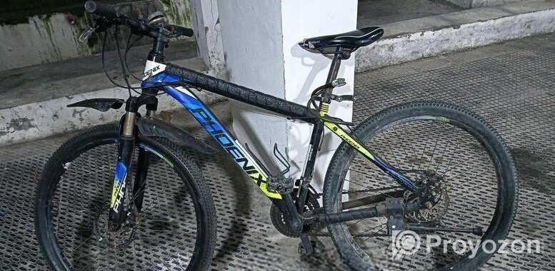 Phoenix Bicycle for sale