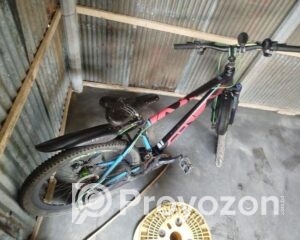 fitted-98_2025-09-22_12-44-27