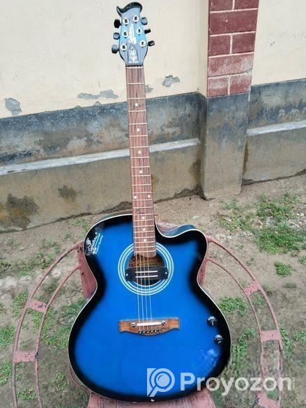 Signature Guitar