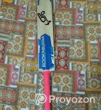Cricket Bat