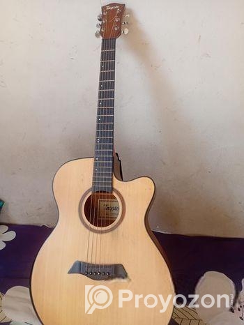 খুব কম দামে Authentic Guiter