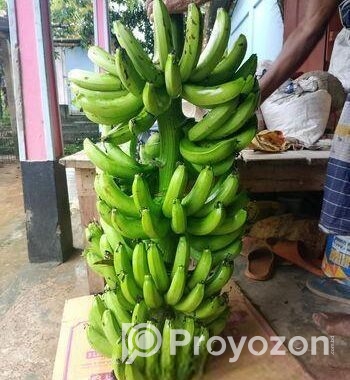 সার মুক্ত সাগর কলা