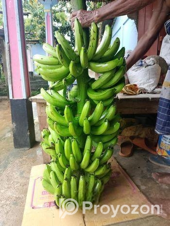 সার মুক্ত সাগর কলা