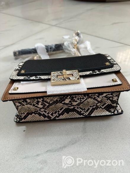 Hand Bags (aldo Band)