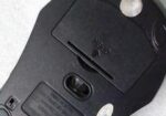 Mouse for sell