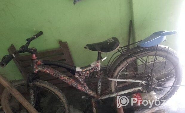 Bicycle for sale