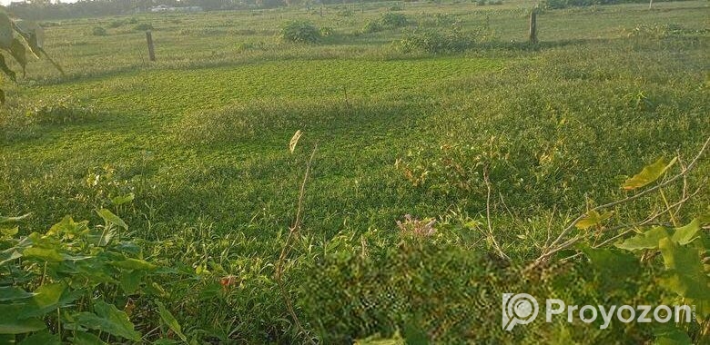 জমি বিক্রয় বিজ্ঞপ্তি