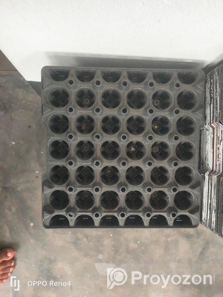 ডিমের কেচ বিক্রি হবে