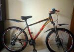 Phoenix Bicycle for sale