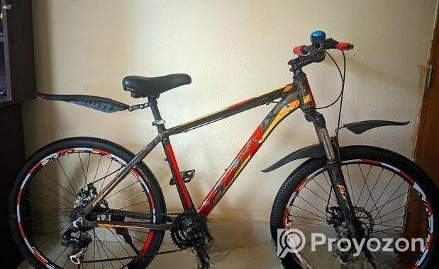 Phoenix Bicycle for sale