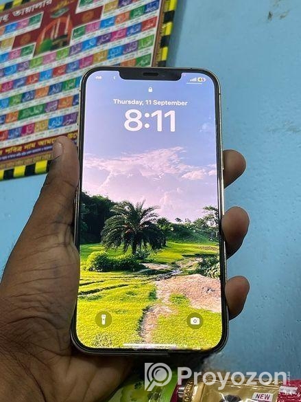 Apple iPhone 12 Pro Max . (Used)