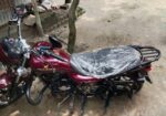 Pegasus Fabio 125cc . 2022