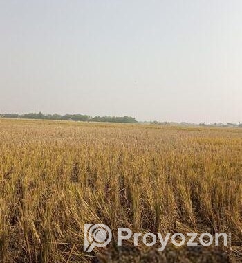 জমি বিক্রি