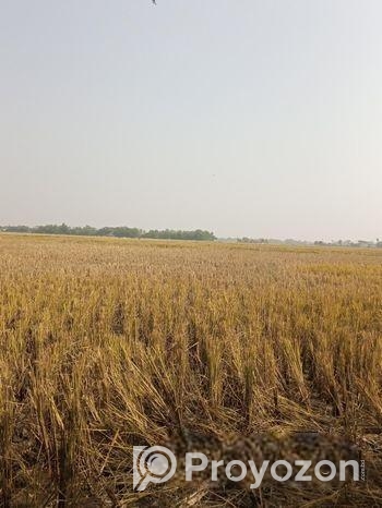 জমি বিক্রি