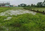 Land Sale