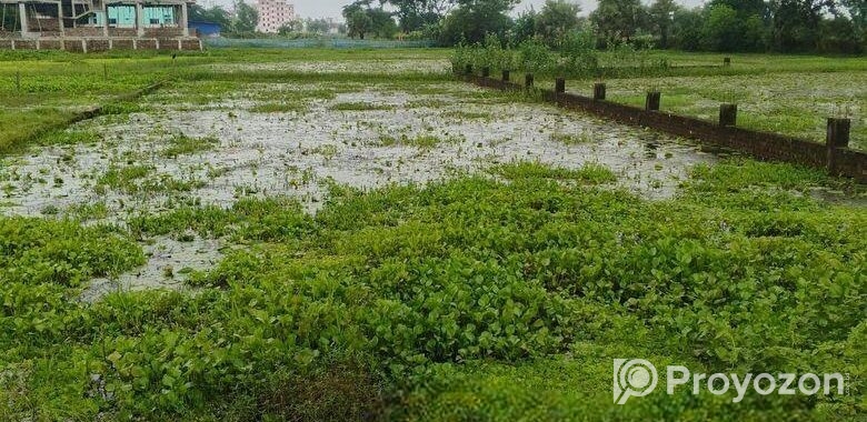 Land Sale