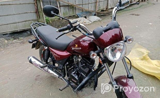Pegasus Fabio 125cc . 2025