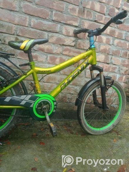 Phoenix Bicycle Sell